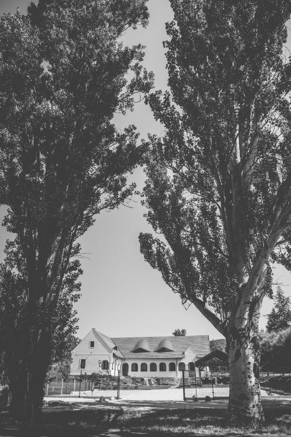 Vitorlas Vendeghaz Révfülöp Exteriér fotografie